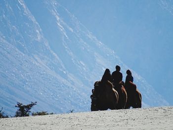 Rear view of people sitting on snow covered land