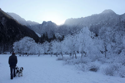 Dog on snow covered mountains against sky