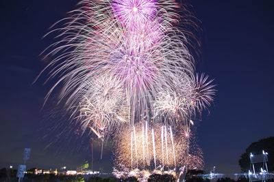 Firework display at night