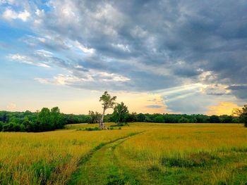 Scenic view of field against cloudy sky