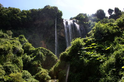 Waterfall in forest