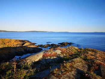 Scenic view of sea against clear blue sky