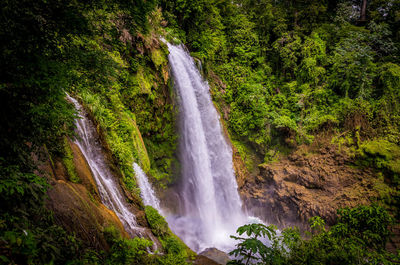 View of waterfall in forest