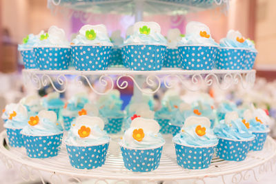 Close-up of multi colored cupcakes