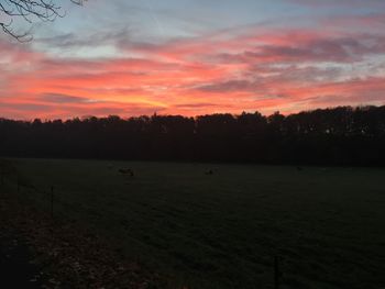 Silhouette trees on landscape against sky at sunset