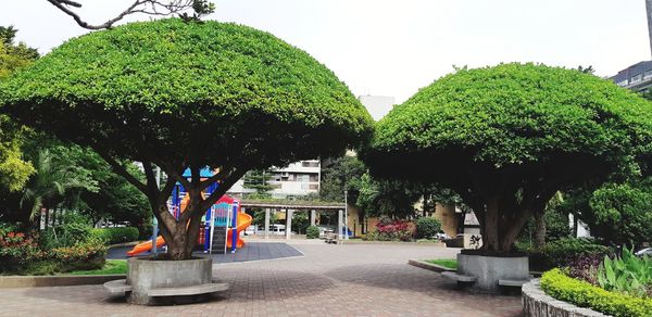 Trees in park against sky