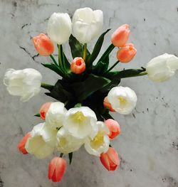 Close-up of fresh flowers blooming in park