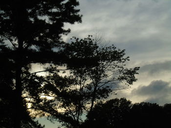 Low angle view of trees against cloudy sky