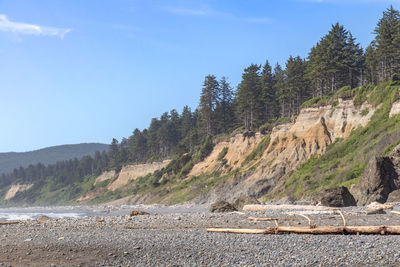 Coastline of ruby beach in olympic national park, washington, usa.