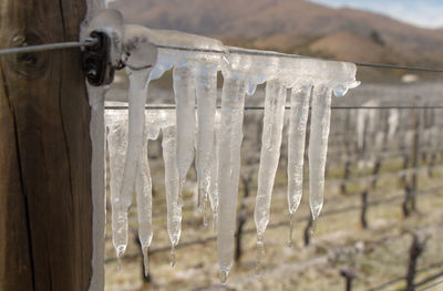 Close-up of icicles hanging from fence