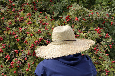 Rear view of women with pink flowers