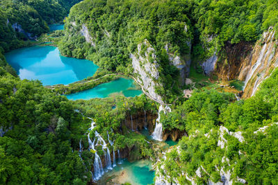 High angle view of river amidst trees in forest