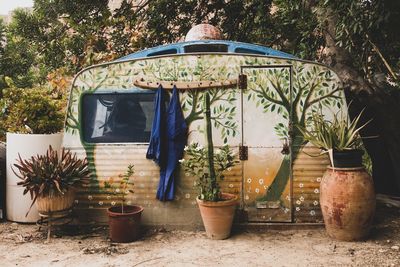 Potted plants on field by building