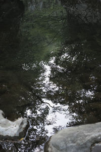 Low angle view of waterfall in forest during winter