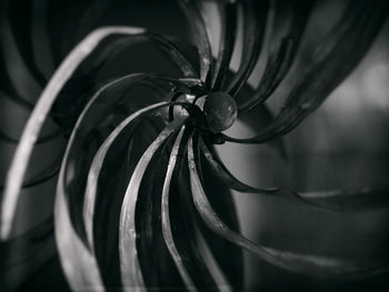 Close-up of spiral outdoors