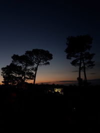 Silhouette trees against sky at night