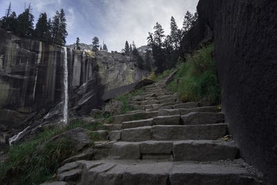 Low angle view of steps amidst trees against sky