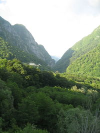 View of lush foliage against mountain range