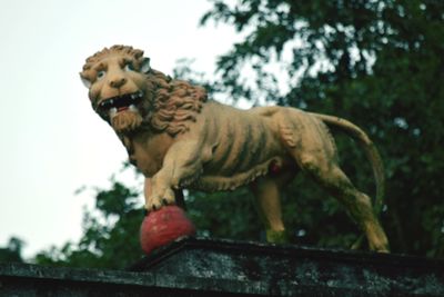 Low angle view of tiger against sky