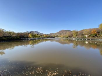 Scenic view of lake against clear blue sky