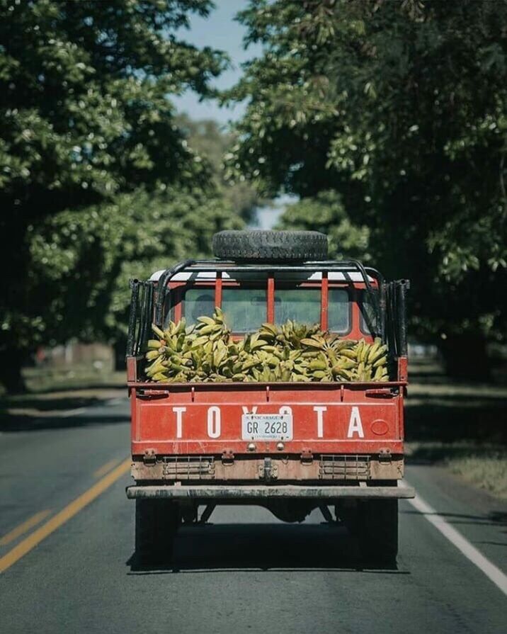 transportation, tree, mode of transportation, road, plant, day, nature, land vehicle, motion, motor vehicle, car, focus on foreground, outdoors, city, travel, street, no people, transparent, water