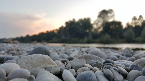 Surface level of rocks on beach