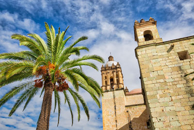 Low angle view of palm tree and building against sky