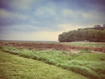 Scenic view of grassy field against cloudy sky