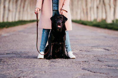 Low section of person with dog on road