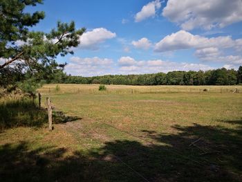 Scenic view of field against sky