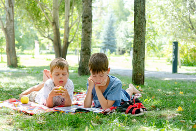 Two boys lie on a blanket in a green park. children read a book lying on the ground, in the park
