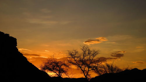 Silhouette of trees at sunset