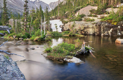 Scenic view of trees by mountains