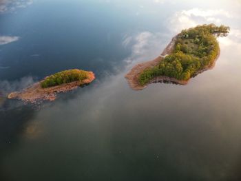 High angle view of plant in lake