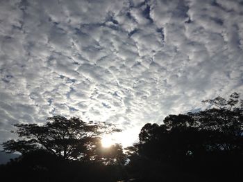 Low angle view of trees against cloudy sky