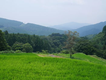 Scenic view of landscape against sky