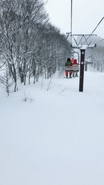 Snow covered land and trees on field during winter