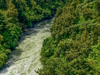 High angle view of waterfall amidst trees in forest