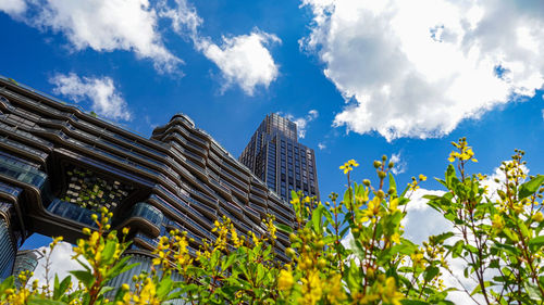 Low angle view of flowering plants and trees against sky