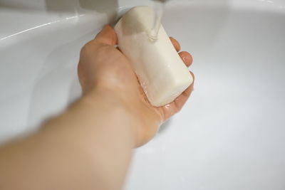 Close-up of hand holding white rose