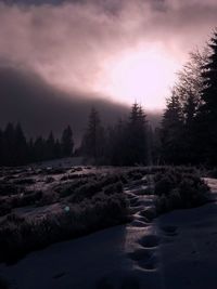 Scenic view of trees against sky during sunset