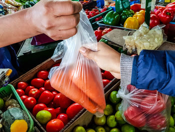 Midsection of fruits for sale at market stall