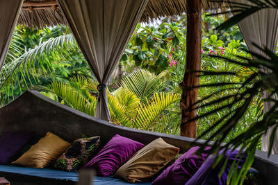 Tropical garden at zanzibar island