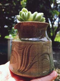 Cropped hand holding potted plant outdoors