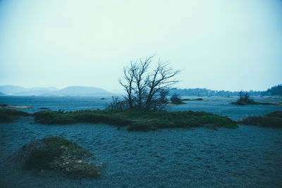 Scenic view of landscape against clear sky