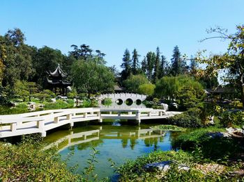 Pond in garden against clear blue sky