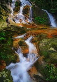 View of waterfall in forest