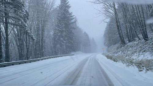 Frosty road 