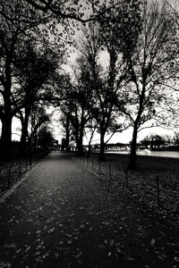 Road amidst trees against sky