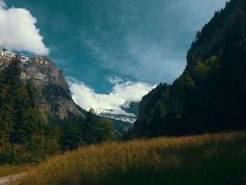 Low angle view of trees and mountains against sky